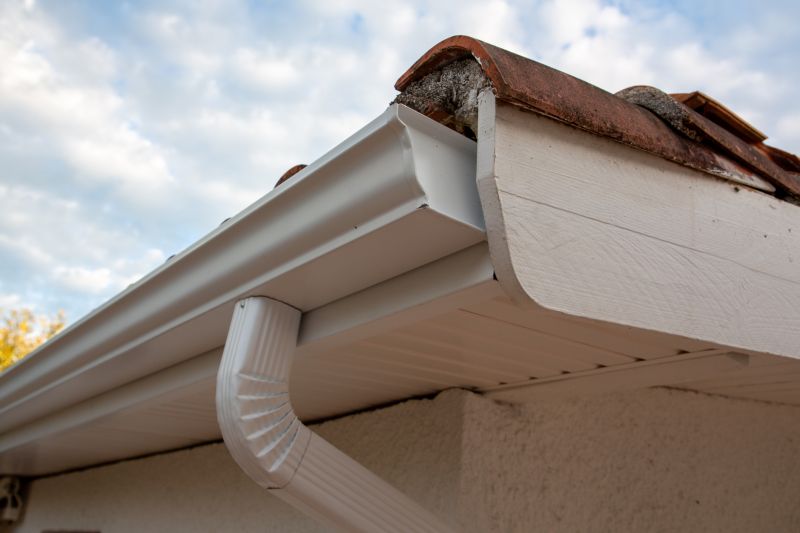 Gutter and Roof System Maintenance